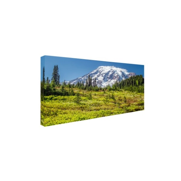 Pierre Leclerc 'Mount Rainier Meadow' Canvas Art,16x32